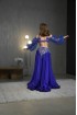 Professional bellydance costume (Classic 315A_1)